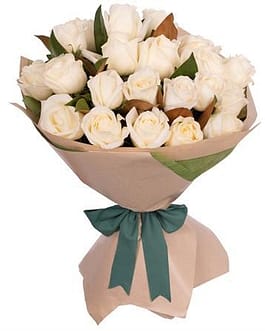 dozen white imported Roses
