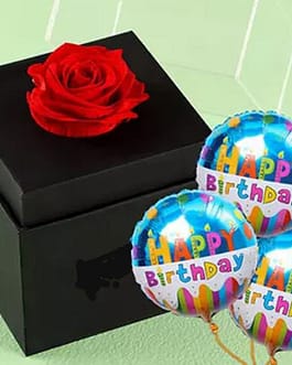 red rose in 4'' box with birthday balloon