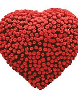 red Roses in heart shaped