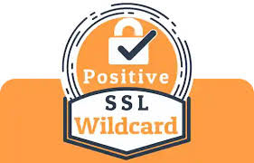 Positive SSL Secure website - Theflowers.pk