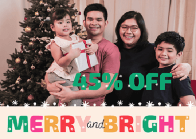 Christmas flowers on sale