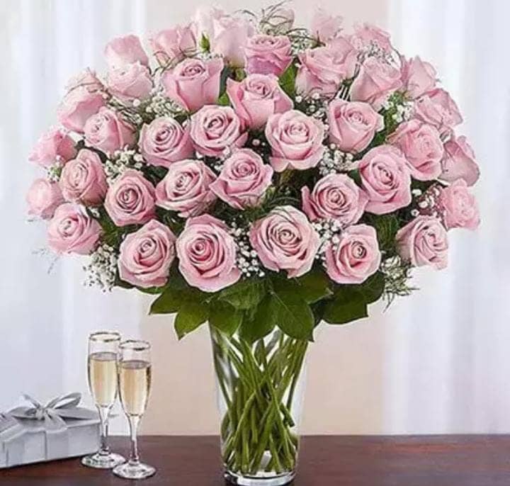 50 pink with baby's breath