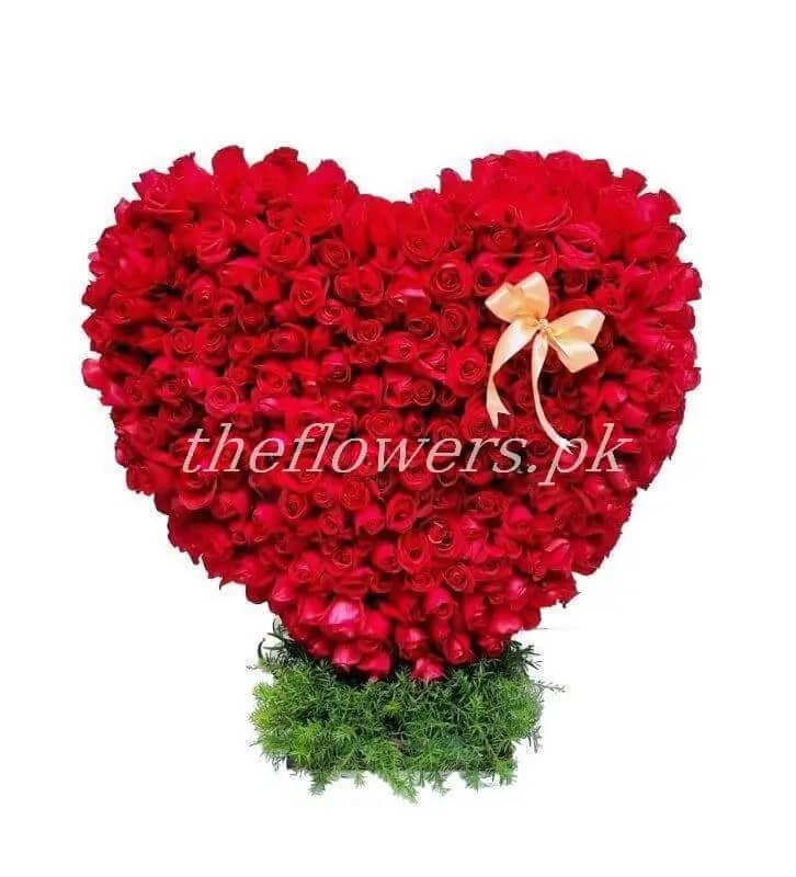 Featuring with 500 locally grown Red Roses on the top of heartshape board - Theflowers.pk