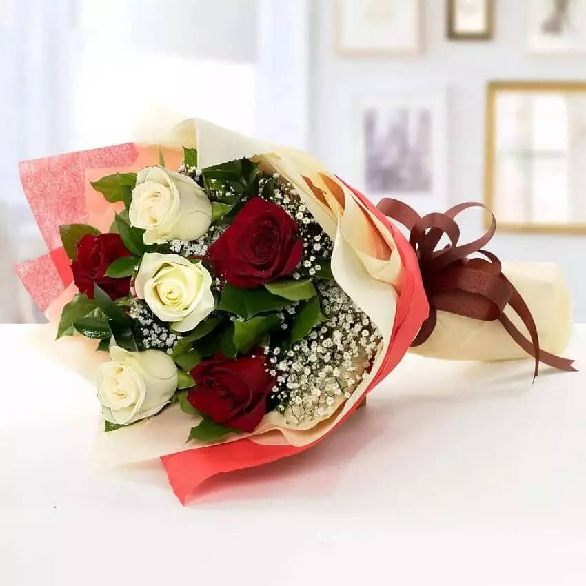 Red and White Roses - Theflowers.pk