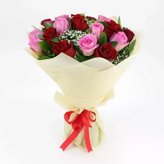 20 Red And Pink South African Roses With Gypsophila