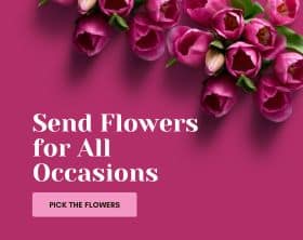 Theflowes Mobile front banners