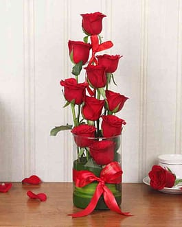 Elegant Red Rose | Arrangement of 10 Red Roses in a Glass Vase