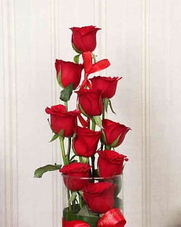 Elegant Red Rose | Arrangement of 10 Red Roses in a Glass Vase
