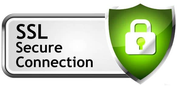 we theflowers.pk provide secure SSL connection